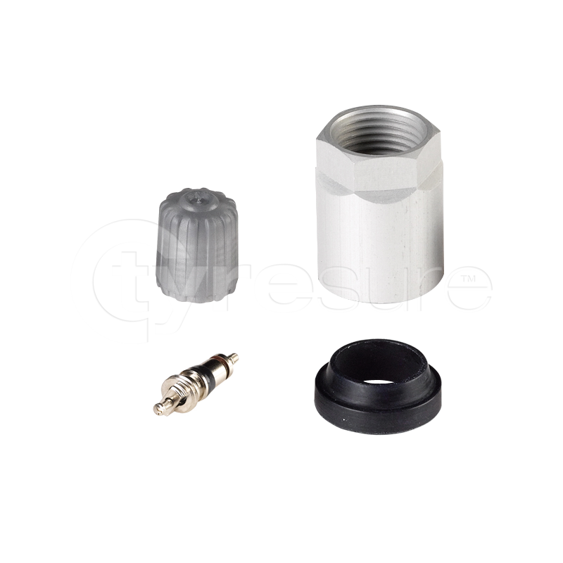 service Kit for Schrader Gen J (1)}