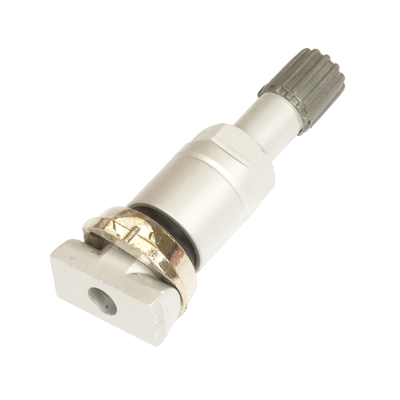 Clamp-In Valves for Schrader Gen Gamma (1)}